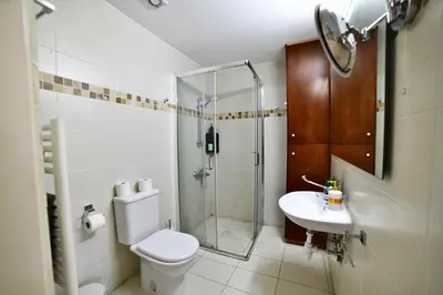 a bathroom with a shower and a toilet and a sink at Laouri Traditional 1-Bedroom in Kalopanayiotis in Kalopanayiotis