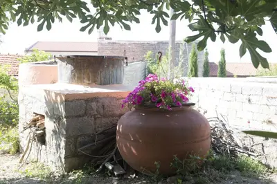 a large flower pot sitting next to a brick wall at Marianna Mansion in Pachna