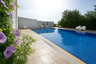 a swimming pool with chairs and purple flowers at Larnaca Seaview Apartment with pool & parking in Larnaka