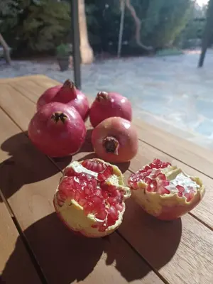 a group of apples and donuts on a wooden table at Melissa Hills in Ayia Napa