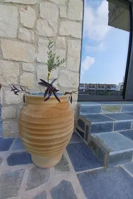 a large pot sitting on a stone wall with a plant in it at Melissa Hills in Ayia Napa