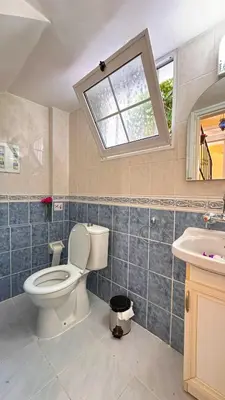 a bathroom with a toilet and a sink and a window at Villa NATURA in Strovolos