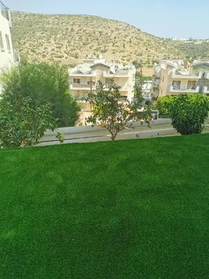a yard of green grass with houses in the background at Nestia Apartment in Yermasoyia