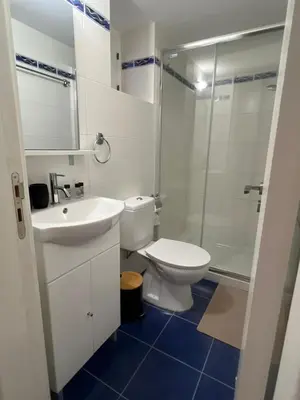 a bathroom with a toilet and a sink and a shower at The Mansion By Penelope in Omodos