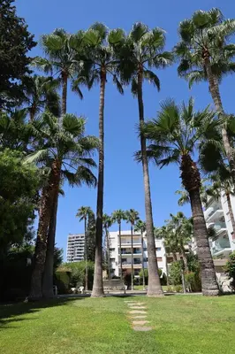 a group of palm trees in a park at Beach Front Apartment in Limassol