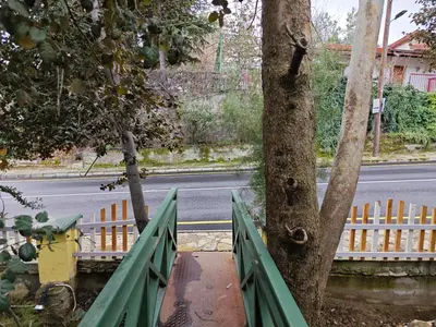 a tree with a green fence next to a street at Kalidoniahouses in Perapedhi