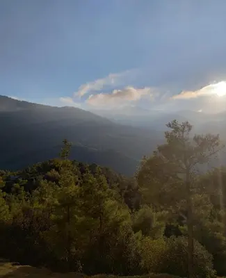 a view of a forest with the sun in the sky at Anastasi Tiny Homes- Mountain Views, Garden & Terrace, Pet Friendly in Kakopetria