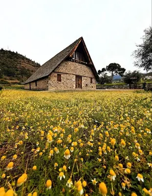 a field of flowers in front of a building at Anastasi Tiny Homes- Mountain Views, Garden & Terrace, Pet Friendly in Kakopetria
