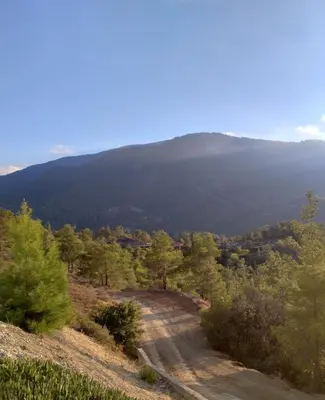 a dirt road with a mountain in the background at Anastasi Tiny Homes- Mountain Views, Garden & Terrace, Pet Friendly in Kakopetria