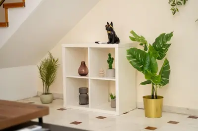 a white book shelf with a cat sitting on it at 2 bedroom house near the beach in Limassol