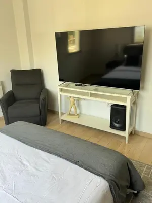 a bedroom with a bed and a tv and a chair at Elegant Escape in Nicosia in Nicosia