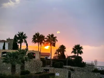 a sunset with palm trees in front of a house at Poseidon North Ciprus, Tatlisu