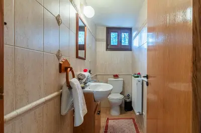 a bathroom with a white sink and a toilet at Villa Penelope Platres in Kato Platres