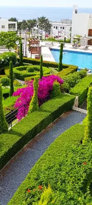 a garden with pink flowers and bushes next to a pool at Idyll Homes THE PENTHOUSE in Avdhelleron