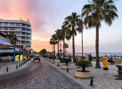 a cobblestone street with palm trees on a beach at Golden Nest by the Sea in Larnaka