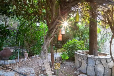 a garden with a tree with lights and a fire hydrant at The Historical Cypriot House, Beautifully Renovated Traditional Stone House in Ayios Ioannis