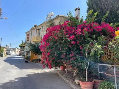 a building with flowers on the side of a street at Historic 600 years old beautifully renovated Olive Mill House in Meniko