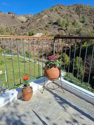 two pots of flowers sitting on a balcony at Cecilia Traditional House-Suites in Kalopanayiotis