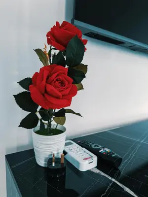 a vase with red roses on a counter next to a remote control at Chic Blue Apartment with Terrace in Paralimni