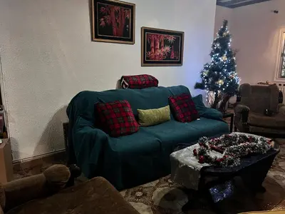 a living room with a green couch and a christmas tree at ARTEMIS HOUSe in Kakopetria