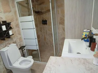 a bathroom with a toilet and a shower and a sink at En chirokitia cottages in Chirokitia