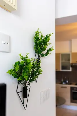 two plants in black holders hanging on a wall at Modern & Fancy ground floor Studio - Pool & Relax in Tersephanou