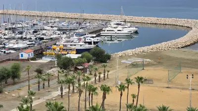 a group of boats docked in a marina with palm trees at Sea View Apartment Finikoudes in Larnaka