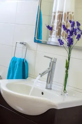 a bathroom sink with a vase with purple flowers in it at Omerou Apartment in Nicosia