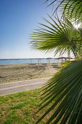 a palm tree next to a sandy beach with a boardwalk at Armonia Seafront Studio in Limassol