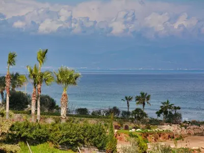 a group of palm trees in front of the ocean at Holiday Home Protaras Ferienvilla mit privatem Pool- Whirlpool by Interhome in Paralimni