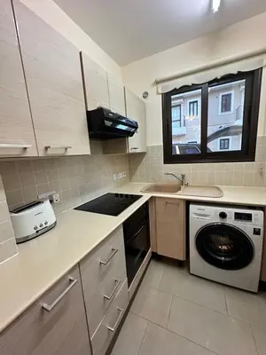 a kitchen with a washing machine and a sink at Натали апарт in Paralimni