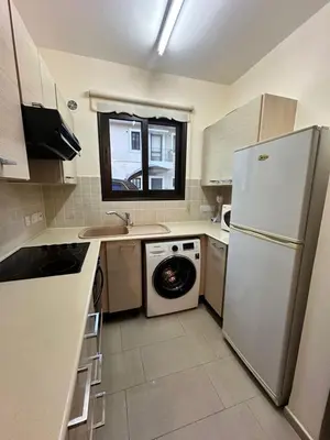 a kitchen with a white refrigerator and a dishwasher at Натали апарт in Paralimni