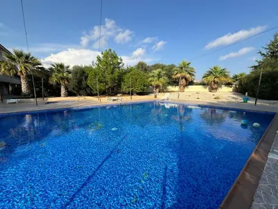 a large blue swimming pool with palm trees in the background at NISSI ELENA Family Apt FREE WIFI in Ayia Napa
