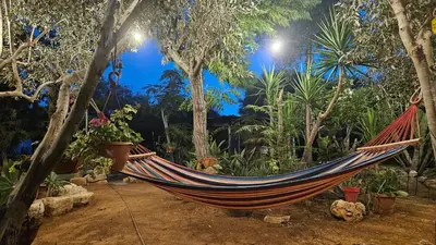 a hammock in a garden with trees and plants at Andreotis Garden in Protaras