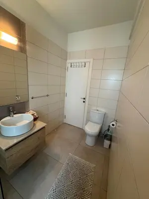 a bathroom with a sink and a toilet and a door at 2bdr apt Turkish Side Nicosia in Nicosia