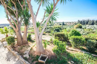 two palm trees and a bench in a garden at Orchard View Cottage in Maroni