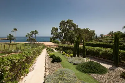 a garden with bushes and trees and the ocean at Shaye Front Line Villa in Protaras