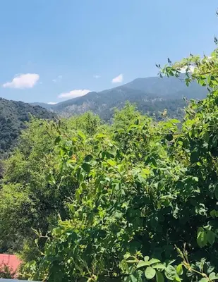 a group of trees with mountains in the background at Galaria House in Moutoullas