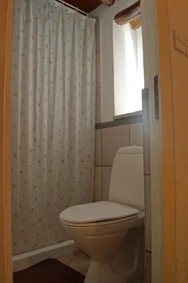 a bathroom with a toilet and a shower curtain at Makrinari Tis Pano Geitonias in Salamiou