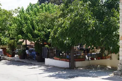 a tree in front of a fence next to a street at Makrinari Tis Pano Geitonias in Salamiou