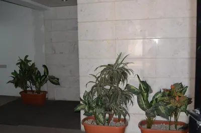 a group of plants in pots on a wall at P L Sunorama Beach Garden 302 in Larnaka