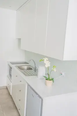 a white kitchen with a sink and a plant on a counter at Alva Hotel Apartments in Protaras