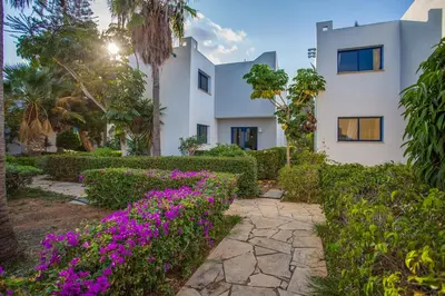 a house with purple flowers in front of it at MarisMare Apartments in Ayia Napa