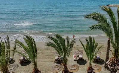 a beach with chairs and palm trees and the ocean at Golden Bay Beach Hotel in Larnaka