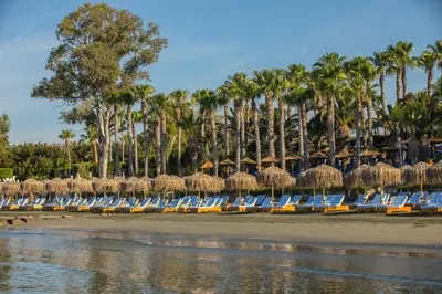 a row of lounge chairs on a beach with palm trees at The GrandResort - Leonardo Limited Edition in Limassol