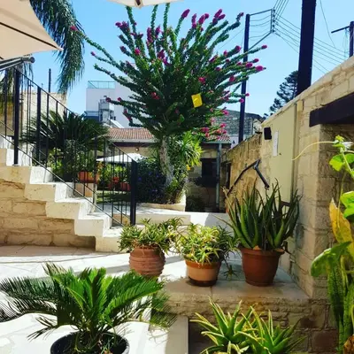 a group of potted plants in a courtyard at Niki's House in Limassol