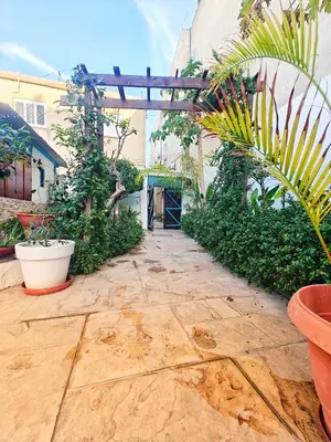 a patio with plants and a wooden pergola at Mamas Summer House in Larnaka