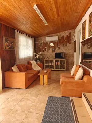 a living room with two couches and a fireplace at Mamas Summer House in Larnaka