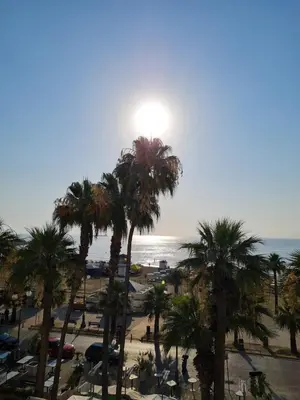 a view of a beach with palm trees and the ocean at Alex Beach Apartment 31 in Larnaka