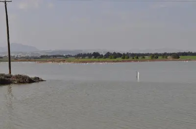 a large body of water with a pole in it at Sunset Garden Villa in Pervolia